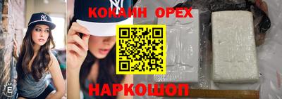 спиды Моздок