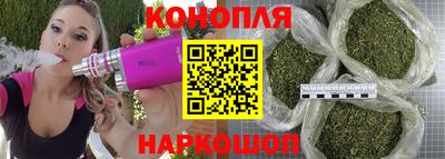 jwh Можга