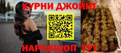 спиды Моздок